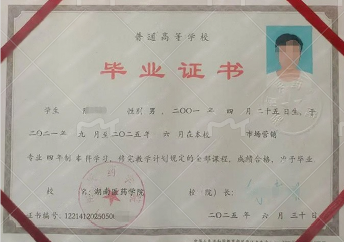 湖南医药学院2025年普通全日制本科毕业证书样本图片（市场营销）
